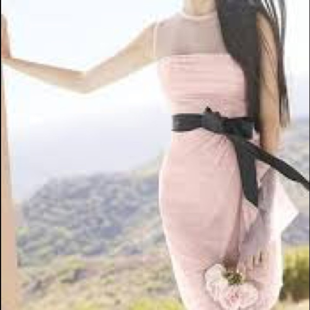 Vera Wang White Bridesmaid/Formal dress in Blush